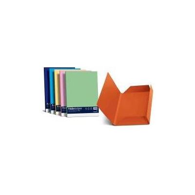 Favini, Kartenaufbewahrung, A50X434 Mehrfarbiger A4-Ordner (A4) Favini, Kartenaufbewahrung, A50X434 Mehrfarbiger A4-Ordner (A4)