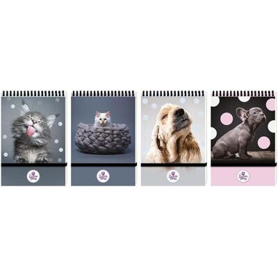 Beniamin, Heft + Block, Das quadratische Notizbuch Sweet Pets A6/96K mit Gummiband (A6) Beniamin, Heft + Block, Das quadratische Notizbuch Sweet Pets A6/96K mit Gummiband (A6)