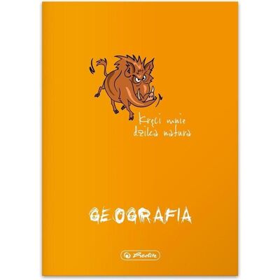 Herlitz, Heft + Block, Notizbuch A5/60K Eco PP grid Geographie (5 Stück) (A5, Gepunktet, Weicher Einband) Herlitz, Heft + Block, Notizbuch A5/60K Eco PP grid Geographie (5 Stück) (A5, Gepunktet, Weicher Einband)