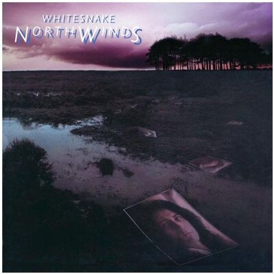 Rhino Northwinds(Black Ice Vinyl), Schallplatten Rhino Northwinds(Black Ice Vinyl), Schallplatten