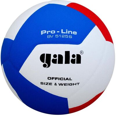 Gala, Volleybälle, (5) Gala, Volleybälle, (5)