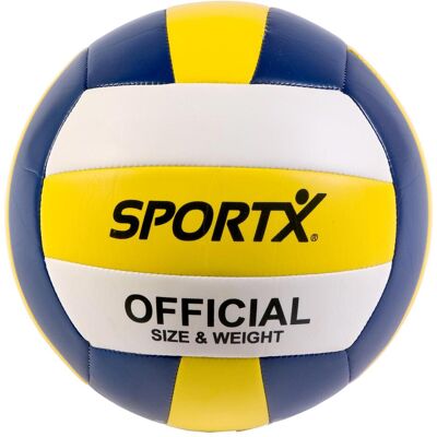 Sport X, Volleybälle, (5) Sport X, Volleybälle, (5)