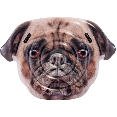 Intex Mopsgesicht Intex Mopsgesicht