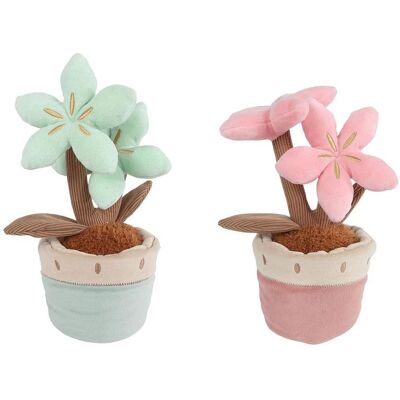 Take Me Home Plüschpflanze „Nimm mich mit nach Hause“ mit 2 Blüten, Länge 24 cm Take Me Home Plüschpflanze „Nimm mich mit nach Hause“ mit 2 Blüten, Länge 24 cm