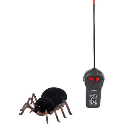 Jungle Expedition Creepy Spider Jungle Expedition Creepy Spider
