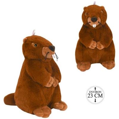 Polypins Plüschtier Murmeltier, 23cm (23 cm) Polypins Plüschtier Murmeltier, 23cm (23 cm)