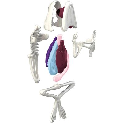 Simba Scout Dissect-It Mini Labor, 3-s. Simba Scout Dissect-It Mini Labor, 3-s.