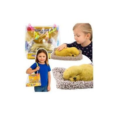 Lean Toys Schlafender Labrador auf einem Kissen, Figur mit Fell, transparenter Beutel, Geräusche Lean Toys Schlafender Labrador auf einem Kissen, Figur mit Fell, transparenter Beutel, Geräusche