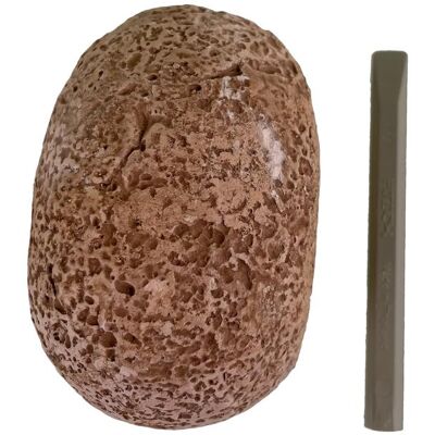 Kosmos Fossil Dino-Eier Kosmos Fossil Dino-Eier