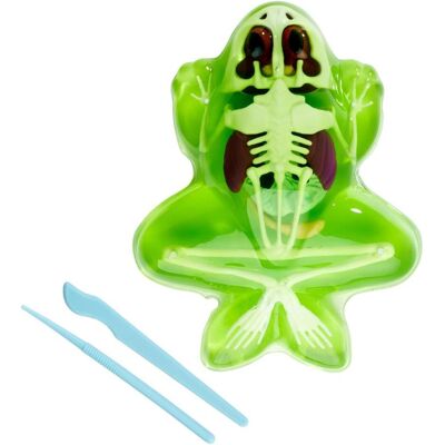 Simba Scout Dissect-It Frosch Simba Scout Dissect-It Frosch