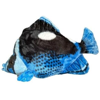 Dubi Hepatusfisch blau 41cm Dubi Hepatusfisch blau 41cm