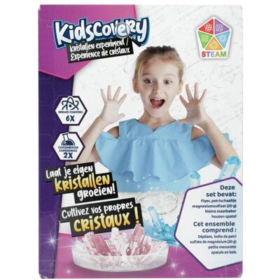 Toi-Toys Kidscovery Experimente Set Kristalle Toi-Toys Kidscovery Experimente Set Kristalle