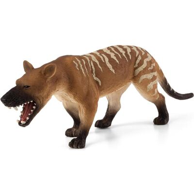Animal Planet Hyaenodon Gigas Animal Planet Hyaenodon Gigas