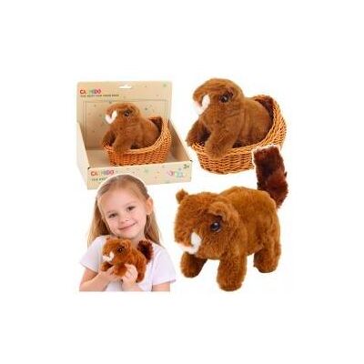 Lean Toys Interaktives Plüsch-Eichhörnchen im Korb, läuft und macht Geräusche, braun Lean Toys Interaktives Plüsch-Eichhörnchen im Korb, läuft und macht Geräusche, braun