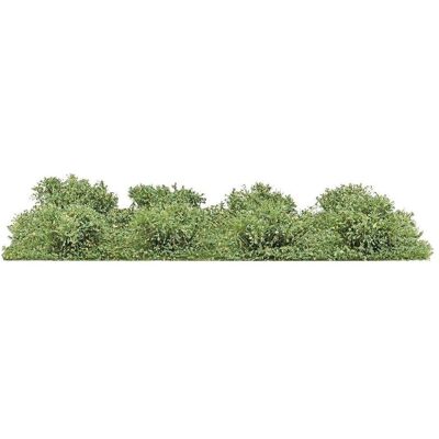 Busch 3603 Strauch Spätsommer 20 mm Busch 3603 Strauch Spätsommer 20 mm