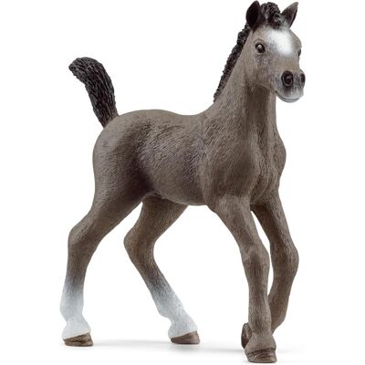 Schleich Cheval de Selle Francais Fohlen Schleich Cheval de Selle Francais Fohlen