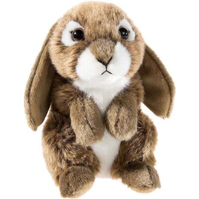 Heunec Hase Misanimo aufwartend 15cm 2f sortiert (15 cm) Heunec Hase Misanimo aufwartend 15cm 2f sortiert (15 cm)