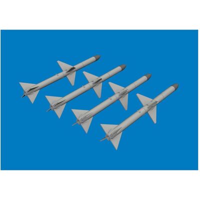 Eduard AIM-7M PRINT Eduard AIM-7M PRINT