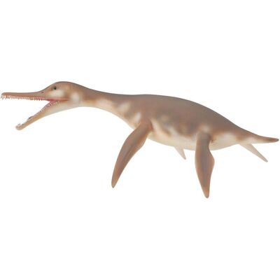 Collecta Dolichorhynchops (M) Collecta Dolichorhynchops (M)