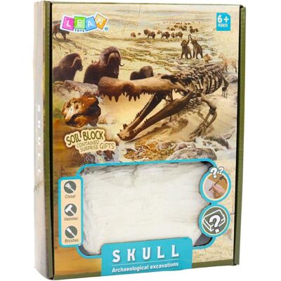 Lean Toys Archäologisches Ausgrabungsset: Schädel, Knochen, Werkzeuge, Zubehör Lean Toys Archäologisches Ausgrabungsset: Schädel, Knochen, Werkzeuge, Zubehör