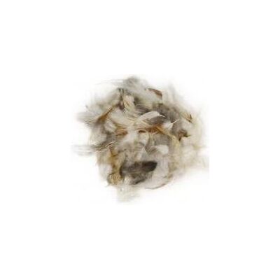 Rayher Federmischung, 10 g Rayher Federmischung, 10 g
