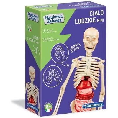 Clementoni Minimodell, menschlicher Körper Clementoni Minimodell, menschlicher Körper