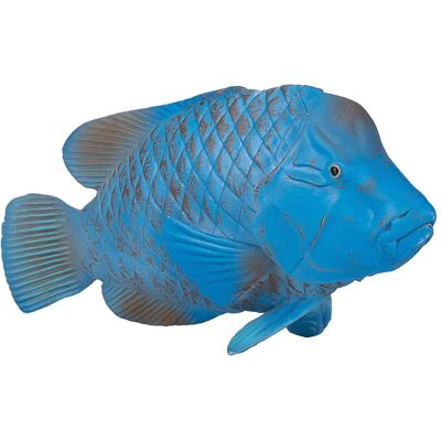 Animal Planet Riesenlippfisch Animal Planet Riesenlippfisch