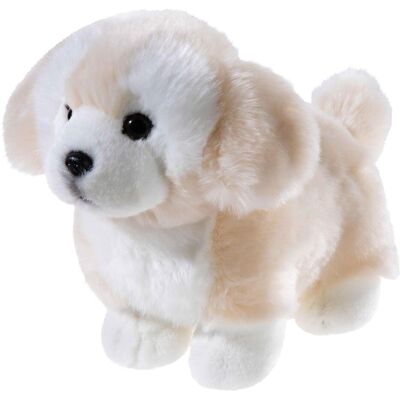 Heunec Misanimo Short Legs Club Terrier, Kuscheltier, Plüschtier, Stofftier, 28 cm, 290976 (28 cm) Heunec Misanimo Short Legs Club Terrier, Kuscheltier, Plüschtier, Stofftier, 28 cm, 290976 (28 cm)