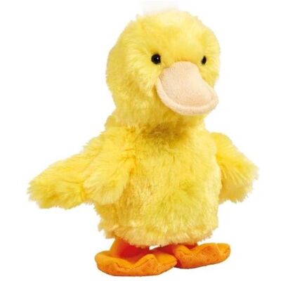 Addo Happy Pets Rap Rap And Addo Happy Pets Rap Rap And