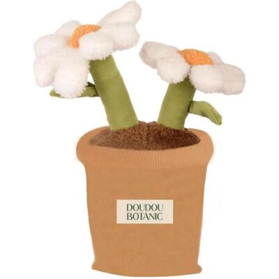 Doudou et Compagnie Margerite 25cm (25 cm) Doudou et Compagnie Margerite 25cm (25 cm)