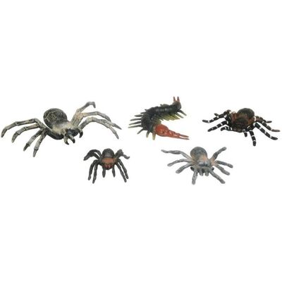 Swede Arthropoden Swede Arthropoden