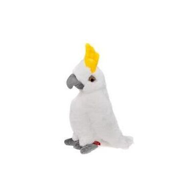 Beppe Supplier did not provide product name (33 cm) Beppe Supplier did not provide product name (33 cm)