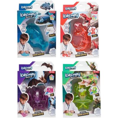 Toi-Toys Kidscovery Schleim Skelett Tier Toi-Toys Kidscovery Schleim Skelett Tier