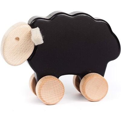 Bajo Sheep owca Bajo Sheep owca