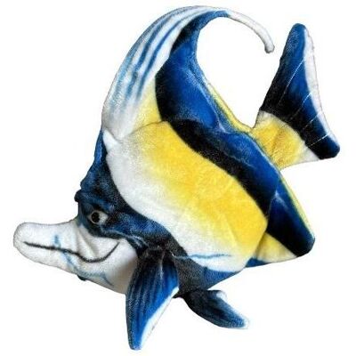Dubi Seefisch Kaiserfisch 35cm Dubi Seefisch Kaiserfisch 35cm