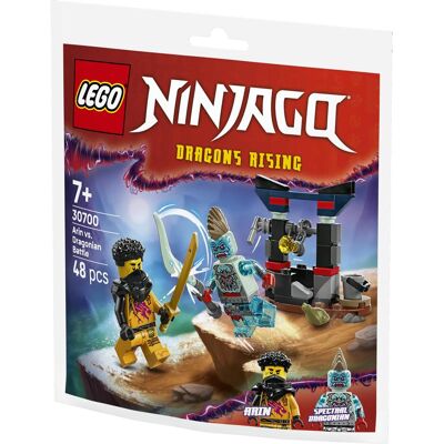 Arins Duell mit dem Drachenmenschen (LEGO Ninjago) Arins Duell mit dem Drachenmenschen (LEGO Ninjago)