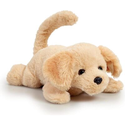 Amo Toys HAPPY PETS - Roll Over Puppy (31511178) Amo Toys HAPPY PETS - Roll Over Puppy (31511178)
