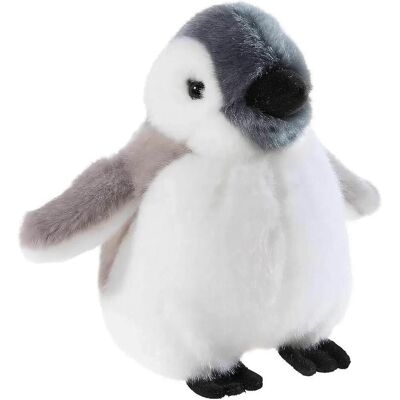 Heunec Plüsch Misanimo Baby Pinguin klein 15cm (15 cm) Heunec Plüsch Misanimo Baby Pinguin klein 15cm (15 cm)