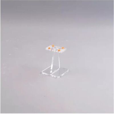 iDisplayit Acryl-Ständer für LEGO Modelle (Flach 8 cm hoch) iDisplayit Acryl-Ständer für LEGO Modelle (Flach 8 cm hoch)