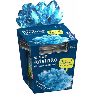 Kosmos Blaue Kristalle Kosmos Blaue Kristalle