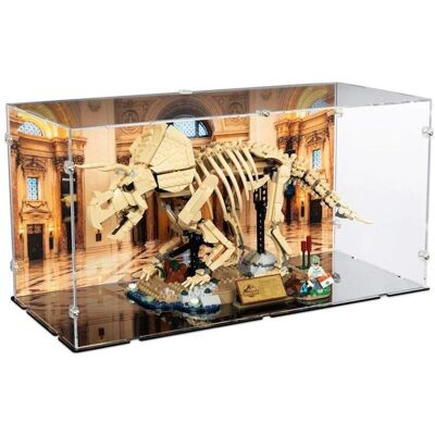iDisplayit Acryl-Display für LEGO 77985 Dinosaurier-Fossilien-Triceratops, Hintergrundbild & schwarzer Boden iDisplayit Acryl-Display für LEGO 77985 Dinosaurier-Fossilien-Triceratops, Hintergrundbild & schwarzer Boden