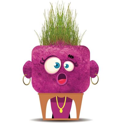 Hape Plant Pals-Astonished Monsters Hape Plant Pals-Astonished Monsters
