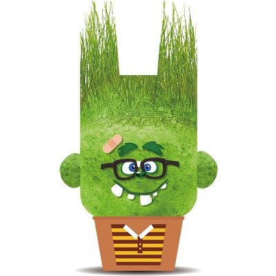 Hape Plant Pals-Assured Monsters Hape Plant Pals-Assured Monsters