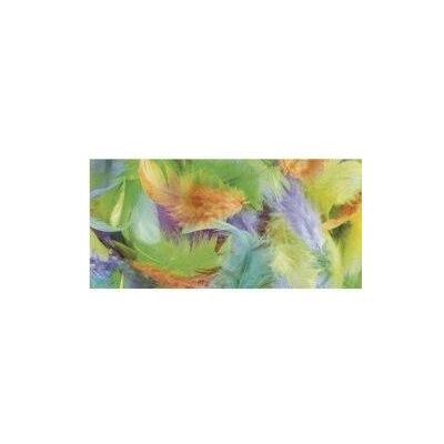 Rayher Feather Mix 3-10cm 10g Rayher Feather Mix 3-10cm 10g