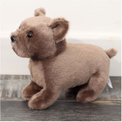 Lean Toys Lean Plüsch Maskottchen Umarmungen Kleiner Hund Braun 19Cm (19 cm) Lean Toys Lean Plüsch Maskottchen Umarmungen Kleiner Hund Braun 19Cm (19 cm)