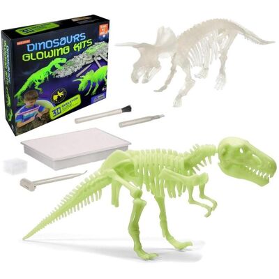 Teka Paläontologische Ausgrabungen eines phosphoreszierenden Dinosauriers Teka Paläontologische Ausgrabungen eines phosphoreszierenden Dinosauriers