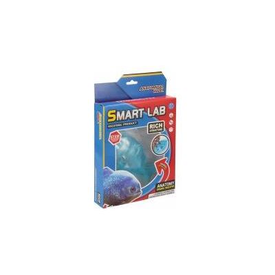 Creative Wissenschaftler-Set Anatomie Fisch 20x30x5 mc Fens Creative Wissenschaftler-Set Anatomie Fisch 20x30x5 mc Fens