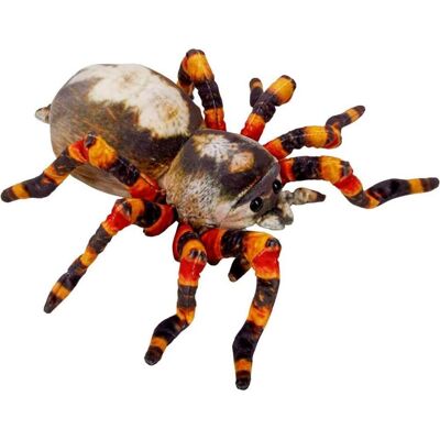 Coppenrath Spinne Nature Zoom Wild (37 cm) Coppenrath Spinne Nature Zoom Wild (37 cm)