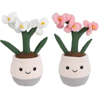 Take Me Home Plüsch-Orchidee „Nimm mich mit nach Hause“ L – 23 cm Take Me Home Plüsch-Orchidee „Nimm mich mit nach Hause“ L – 23 cm