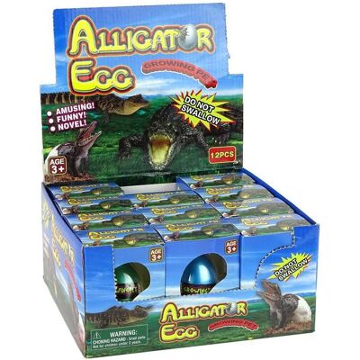 Lean Toys Wachsendes Krokodil-Alligator-Ei 6 cm Lean Toys Wachsendes Krokodil-Alligator-Ei 6 cm